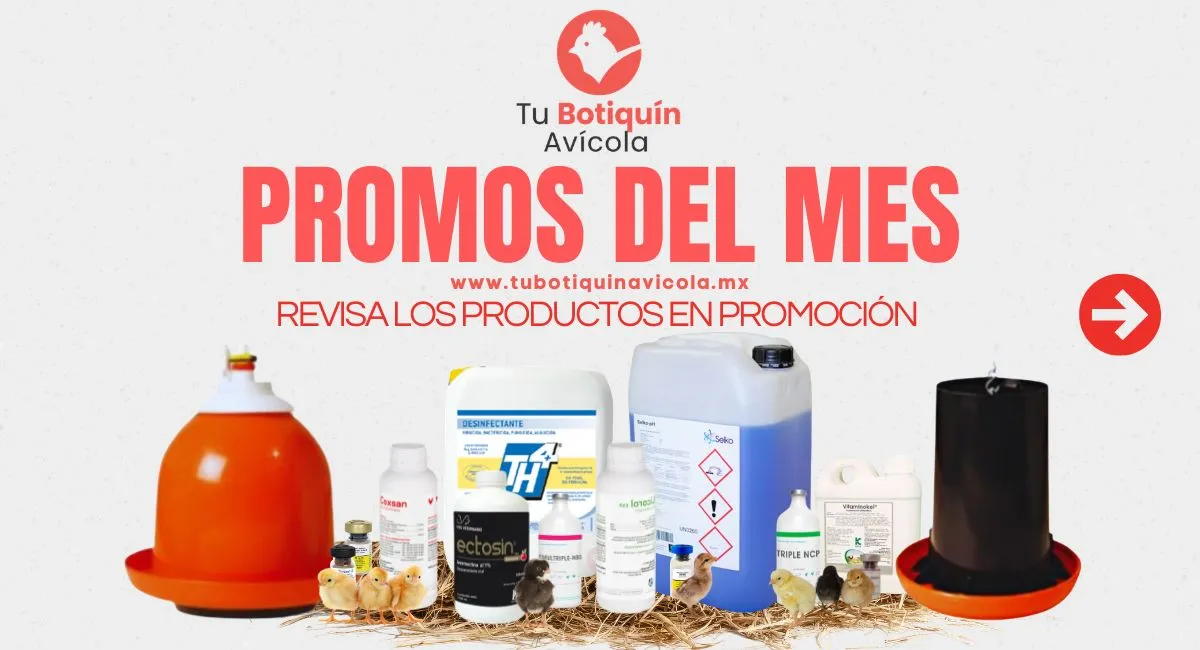 Promoción 1