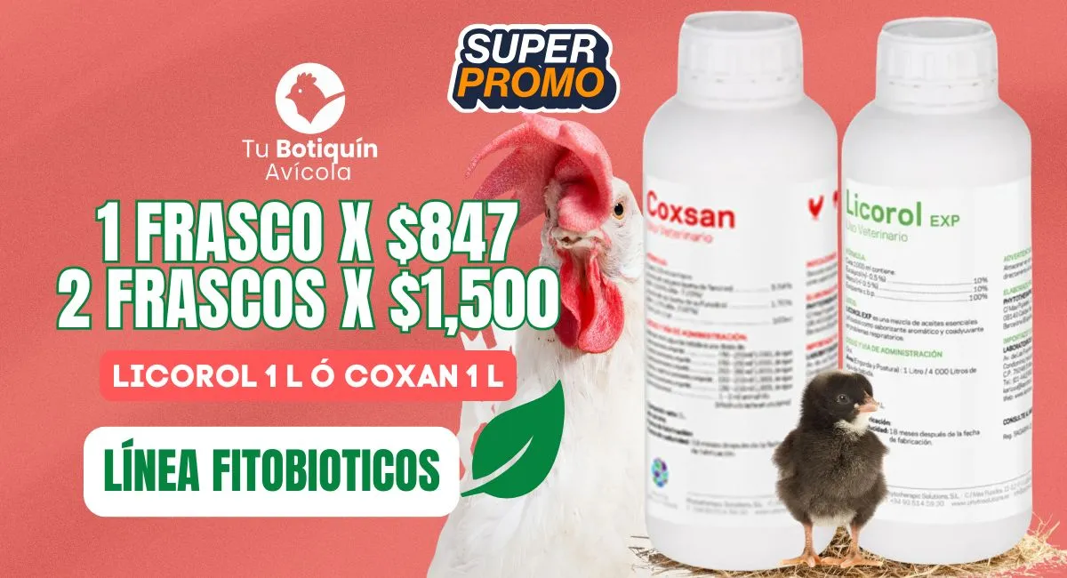 Promoción 2