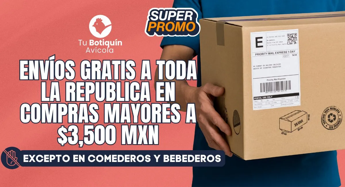 Promoción 4