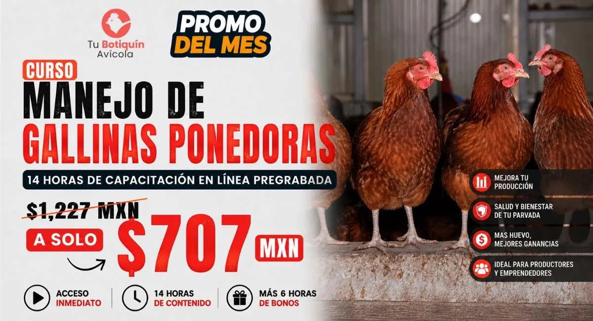 Promoción 5