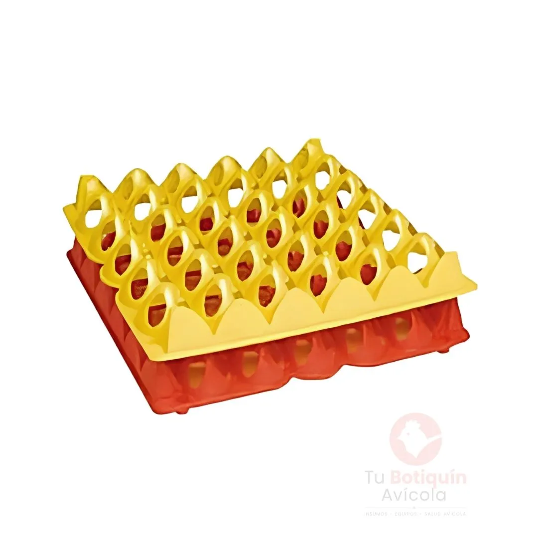 Separador de Huevos Jumbo (Capacidad 30)